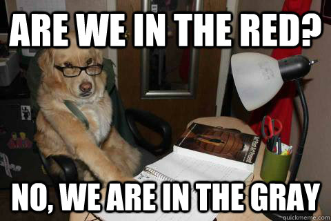 Are we in the red? No, we are in the gray  Financial Advice Dog