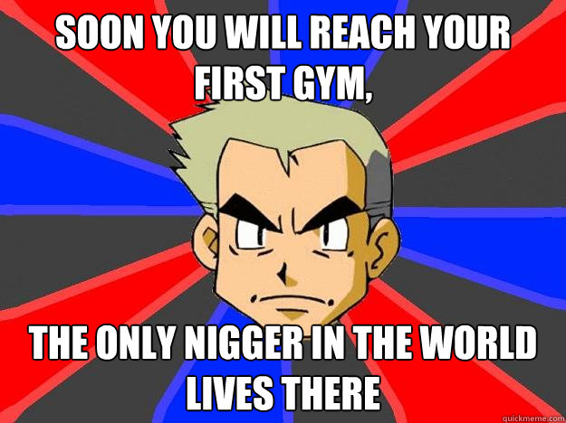 SOON YOU WILL REACH YOUR FIRST GYM,  THE ONLY NIGGER IN THE WORLD LIVES THERE  Professor Oak