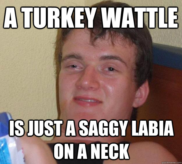 A turkey wattle  is just a saggy labia on a neck  10 Guy