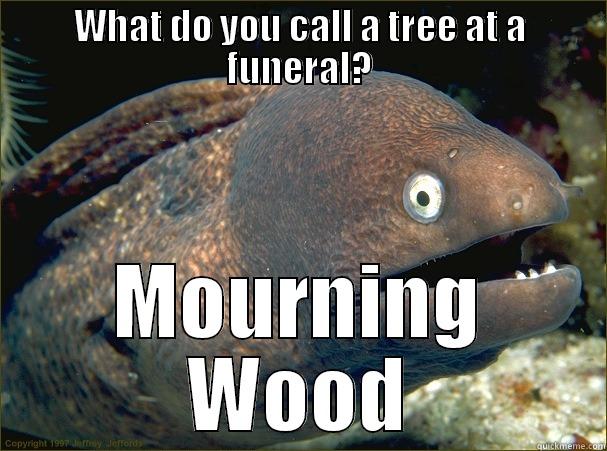 WHAT DO YOU CALL A TREE AT A FUNERAL? MOURNING WOOD Bad Joke Eel