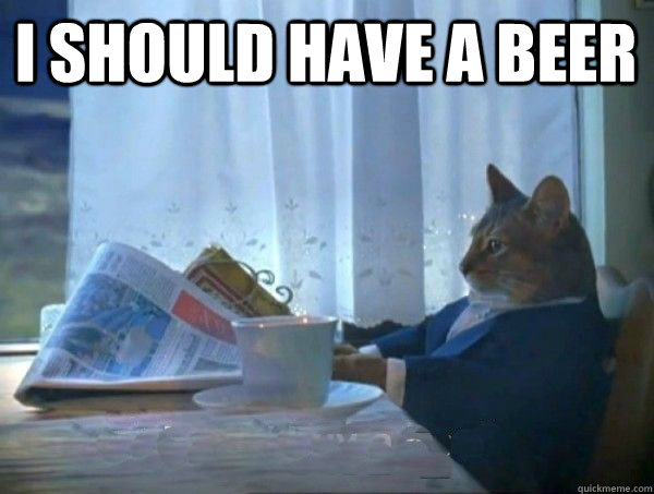 I should have a beer  - I should have a beer   morning realization newspaper cat meme
