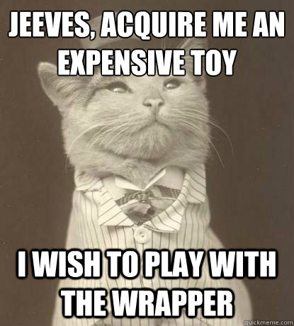 Jeeves, acquire me an expensive toy I wish to play with the wrapper  Aristocat