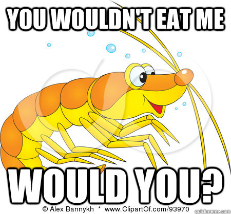 YOU WOULDN'T EAT ME WOULD YOU?   innocent prawn