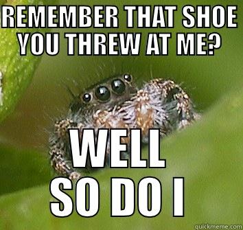 REMEMBER THAT SHOE YOU THREW AT ME? WELL SO DO I Misunderstood Spider