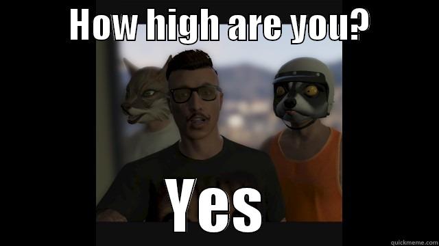 How High -           HOW HIGH ARE YOU?           YES Misc
