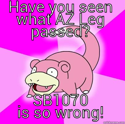 HAVE YOU SEEN WHAT AZ LEG PASSED? SB1070 IS SO WRONG! Slowpoke