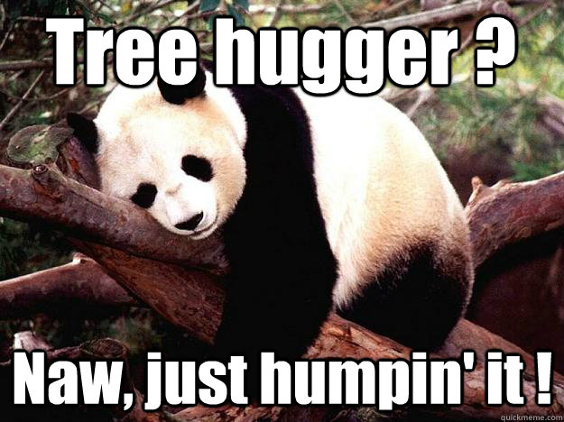 Tree hugger ? Naw, just humpin' it !  Procrastination Panda