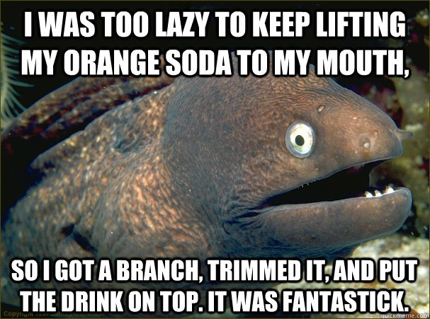 I was too lazy to keep lifting my orange soda to my mouth,  so I got a branch, trimmed it, and put the drink on top. It was fantastick. - I was too lazy to keep lifting my orange soda to my mouth,  so I got a branch, trimmed it, and put the drink on top. It was fantastick.  Bad Joke Eel