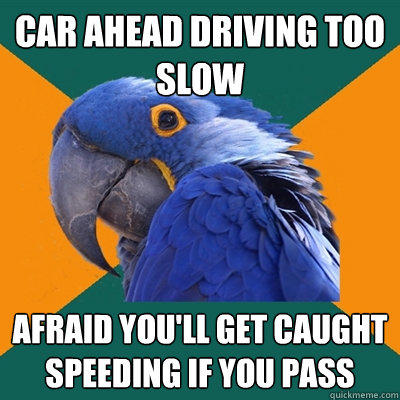 car ahead driving too slow afraid you'll get caught speeding if you pass  Paranoid Parrot