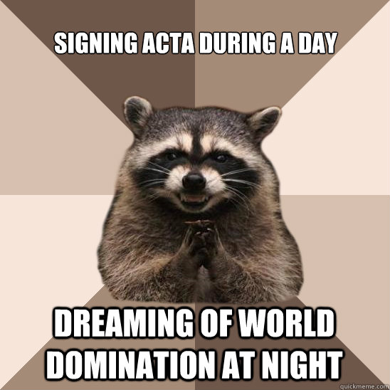 signing acta during a day dreaming of world domination at night  Evil Plotting Raccoon