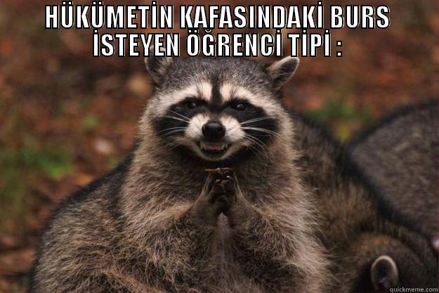 HÜKÜMETİN KAFASINDAKİ BURS İSTEYEN ÖĞRENCİ TİPİ :  Evil Plotting Raccoon