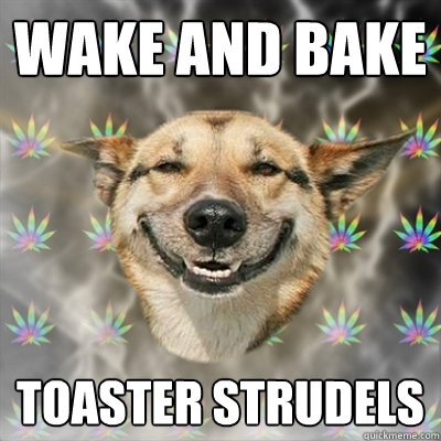 Wake and Bake Toaster Strudels  Stoner Dog