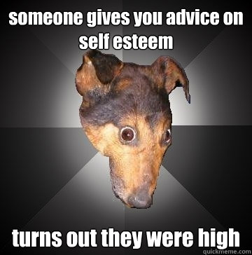 someone gives you advice on self esteem turns out they were high   Depression Dog