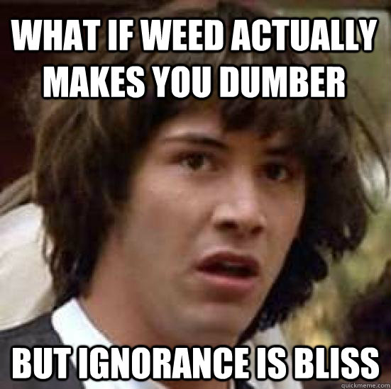 what if weed actually makes you dumber but ignorance is bliss  conspiracy keanu