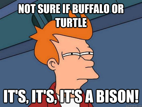 Not sure if buffalo or turtle  IT'S, it's, it's A BISON!  Futurama Fry