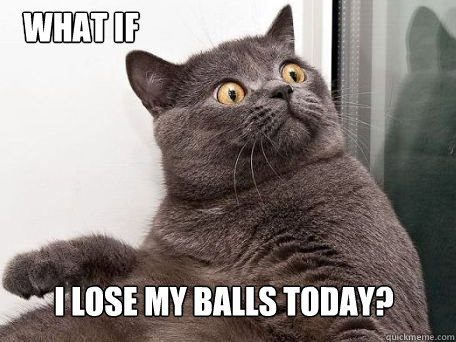 what if i lose my balls today?  conspiracy cat