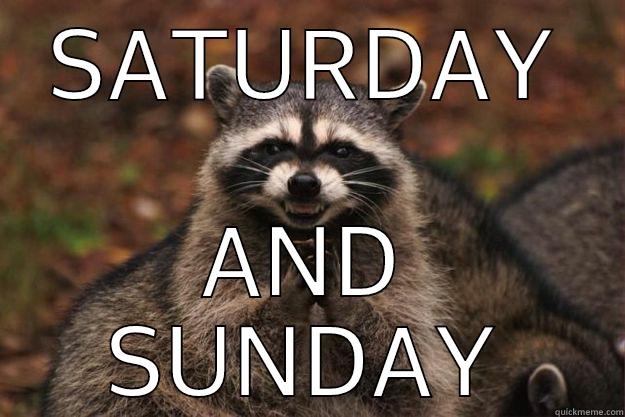 SATURDAY AND SUNDAY Evil Plotting Raccoon