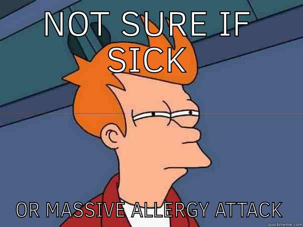 NOT SURE IF SICK OR MASSIVE ALLERGY ATTACK Futurama Fry