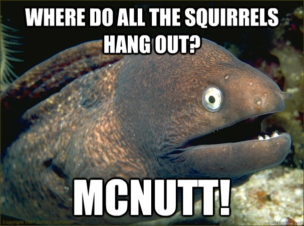 Where do all the squirrels hang out? Mcnutt!  Bad Joke Eel