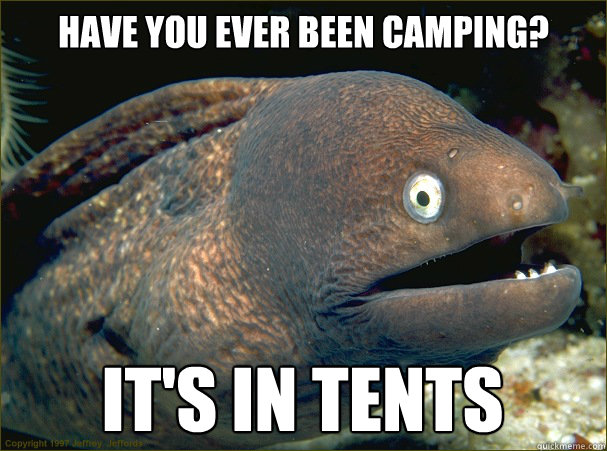 have you ever been camping? it's in tents - have you ever been camping? it's in tents  Bad Joke Eel