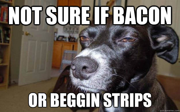 Not sure if Bacon or beggin strips  Skeptical Mutt