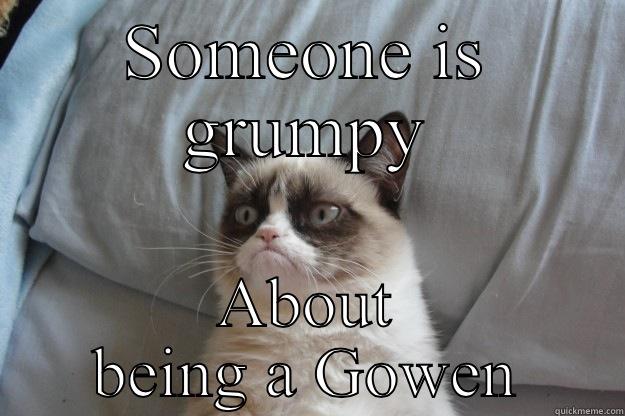 SOMEONE IS GRUMPY ABOUT BEING A GOWEN Grumpy Cat