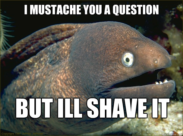 i mustache you a question but ill shave it for later  Bad Joke Eel