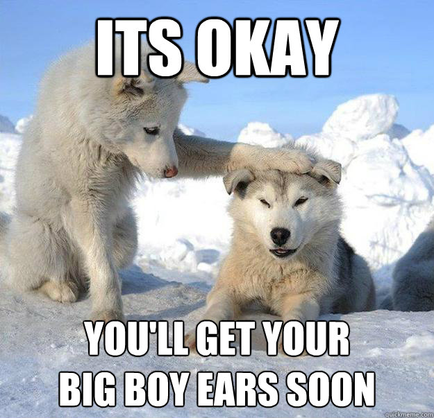 Its okay
 you'll get your 
big boy ears soon  Caring Husky