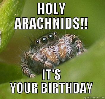 HOLY ARACHNIDS!! IT'S YOUR BIRTHDAY Misunderstood Spider