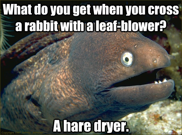 What do you get when you cross a rabbit with a leaf-blower? A hare dryer. - What do you get when you cross a rabbit with a leaf-blower? A hare dryer.  Bad Joke Eel