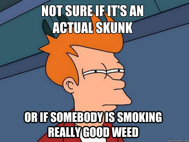 Not sure if it's an actual skunk or if somebody is smoking really good weed - Not sure if it's an actual skunk or if somebody is smoking really good weed  Futurama Fry