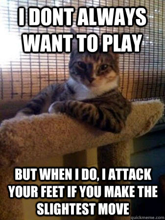 i dont always want to play but when i do, i attack your feet if you make the slightest move  The Most Interesting Cat in the World