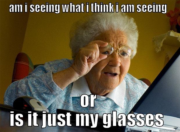 AM I SEEING WHAT I THINK I AM SEEING  OR IS IT JUST MY GLASSES  Grandma finds the Internet