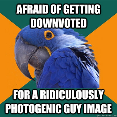 Afraid of getting downvoted For a Ridiculously Photogenic Guy image - Afraid of getting downvoted For a Ridiculously Photogenic Guy image  Paranoid Parrot