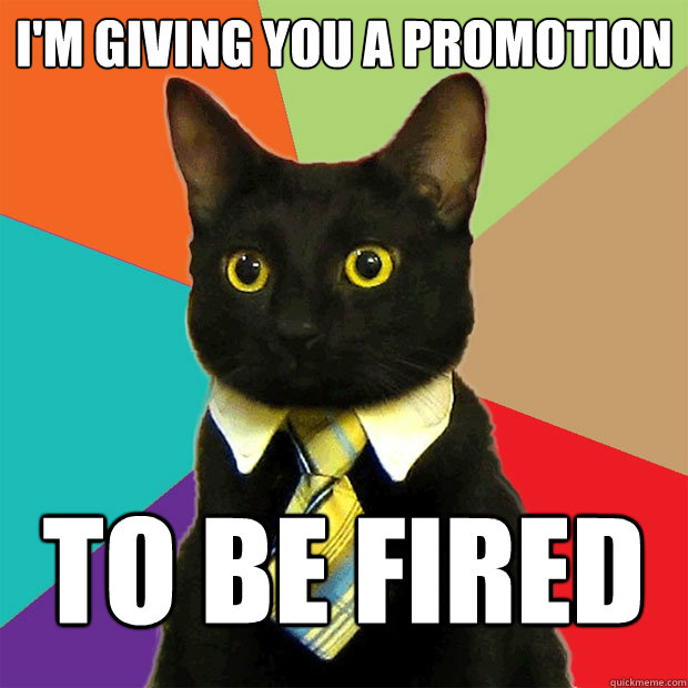 I'm giving you a promotion to be fired  Business Cat