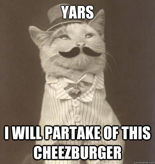 Yars I will partake of this cheezburger  Original Business Cat