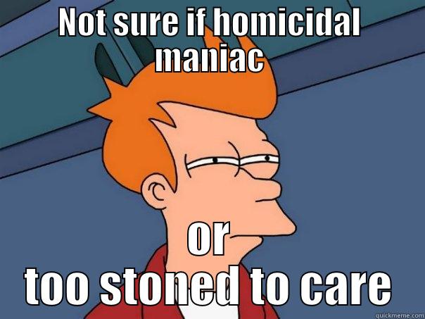 NOT SURE IF HOMICIDAL MANIAC OR TOO STONED TO CARE Futurama Fry