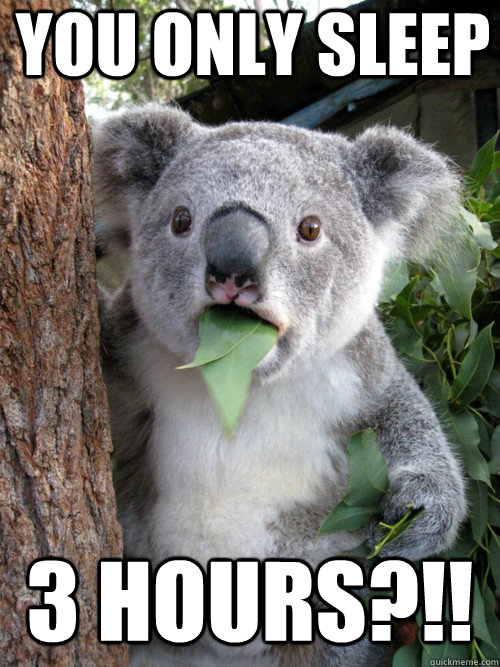 YOU ONLY SLEEP 3 HOURS?!!  Surprised Koala