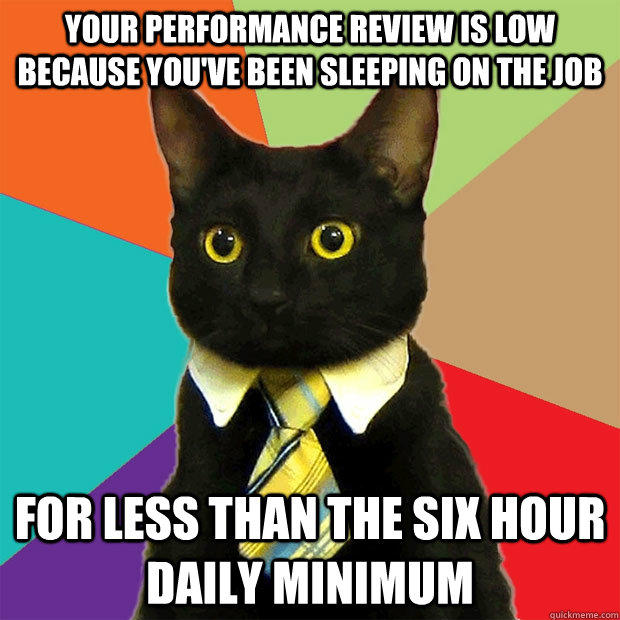 Your performance review is low because you've been sleeping on the job for less than the six hour daily minimum  Business Cat