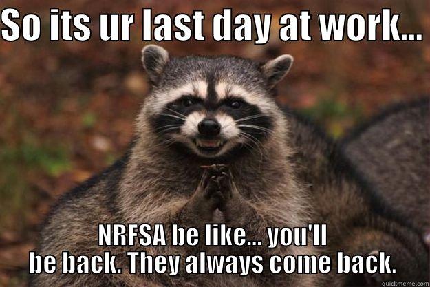 SO ITS UR LAST DAY AT WORK...  NRFSA BE LIKE... YOU'LL BE BACK. THEY ALWAYS COME BACK. Evil Plotting Raccoon