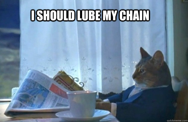 I should lube my chain  Sophisticated Cat