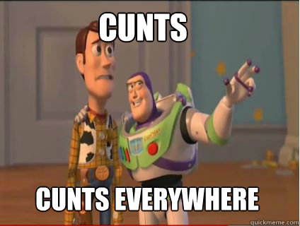 Cunts cunts everywhere  woody and buzz