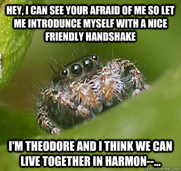 Hey, i can see your afraid of me so let me introdunce myself with a nice friendly handshake I'm Theodore and i think we can live together in harmon--...  Misunderstood Spider