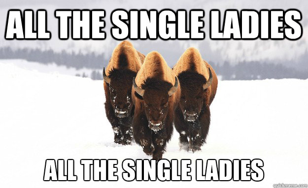 ALL THE SINGLE LADIES ALL THE SINGLE LADIES - ALL THE SINGLE LADIES ALL THE SINGLE LADIES  Bisonc