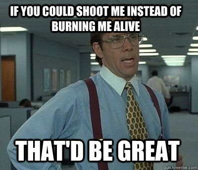 If you could shoot me instead of burning me alive That'd be great - If you could shoot me instead of burning me alive That'd be great  Bill Lumbergh