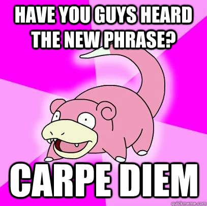 Have you guys heard the new phrase? carpe diem  - Have you guys heard the new phrase? carpe diem   Slowpoke