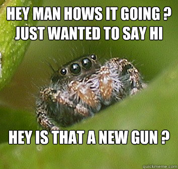 Hey man hows it going ? Just wanted to say hi Hey is that a new gun ?  Misunderstood Spider