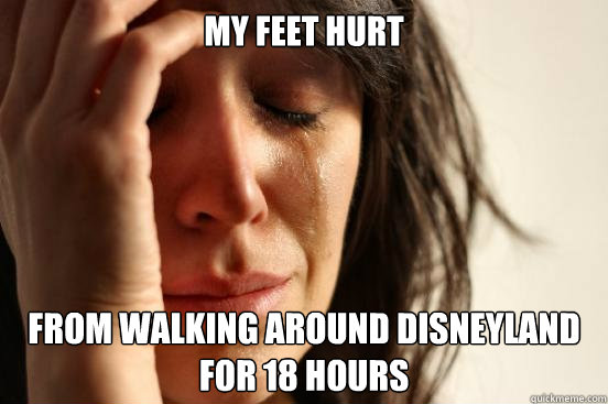 my feet hurt from walking around disneyland for 18 hours  First World Problems