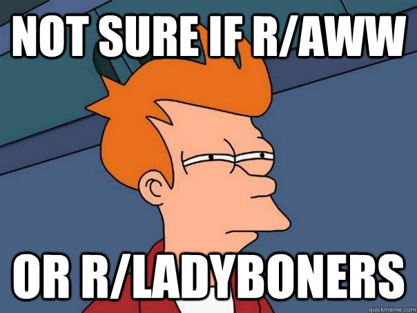 not sure if r/aww or r/ladyboners  Futurama Fry