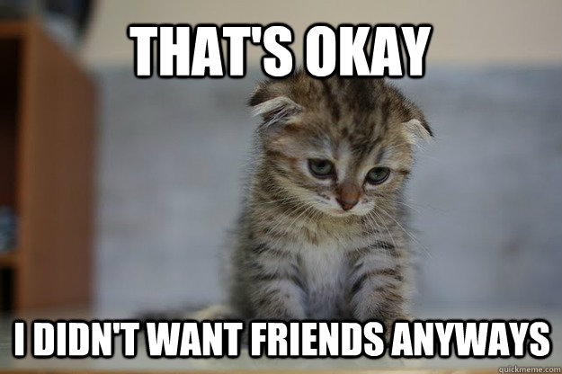 That's okay I didn't want friends anyways - That's okay I didn't want friends anyways  Sad Kitten